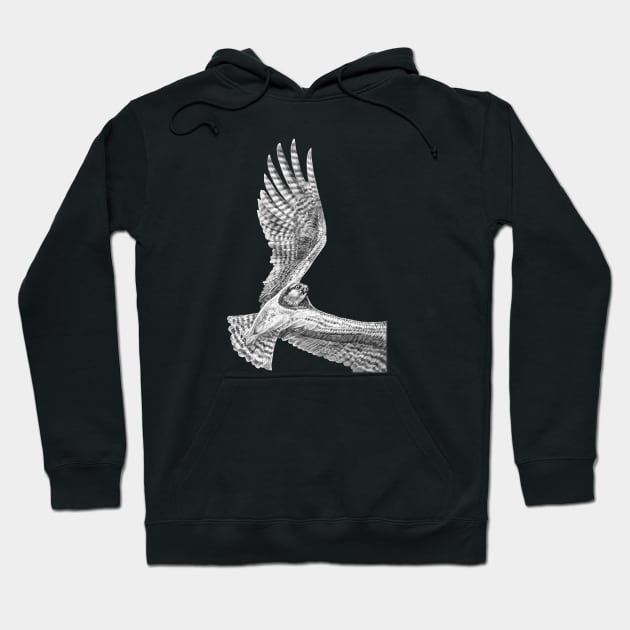 Osprey Hoodie by Tim Jeffs Art